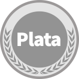 plan plata icono